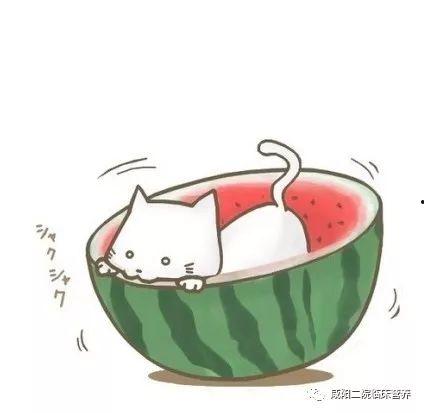 娱乐吃瓜酱头像图片高清,揭秘网红界的神秘面纱